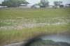 dsc_8760_fs_small.jpg