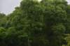 dsc_8767_fs_small.jpg