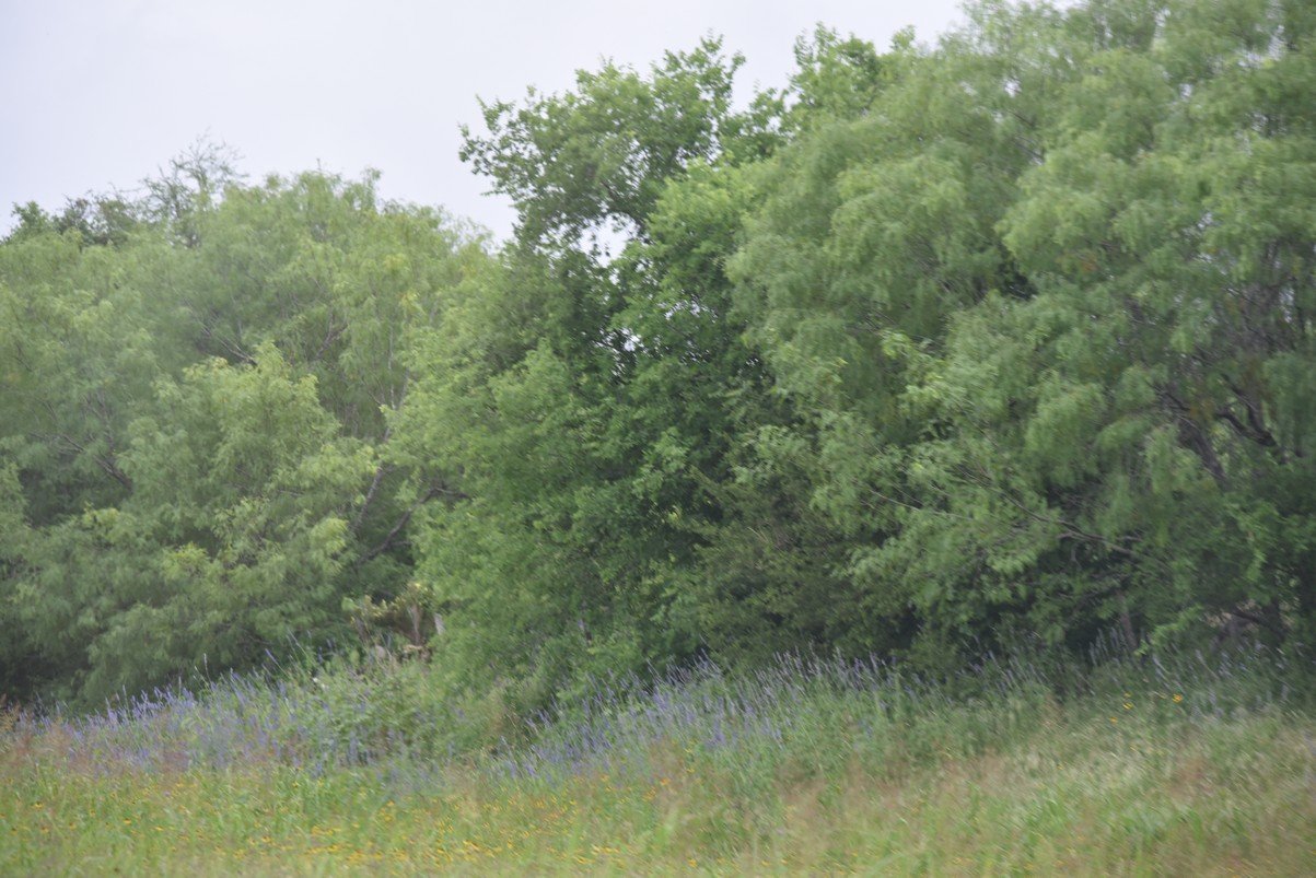 dsc_8782_fs.jpg