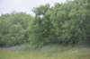 dsc_8782_fs_small.jpg