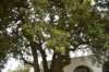 dsc_8859_fs_small.jpg