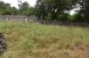 dsc_8869_fs_small.jpg