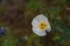 dsc_8872_fs_small.jpg