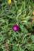 dsc_8901_fs_small.jpg