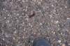 dsc_8907_fs_small.jpg