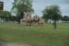 dsc_8946_fs_small.jpg