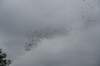 dsc_9009lastfanninbattlefield_small.jpg