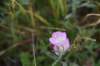 dsc_9053_fs_small.jpg
