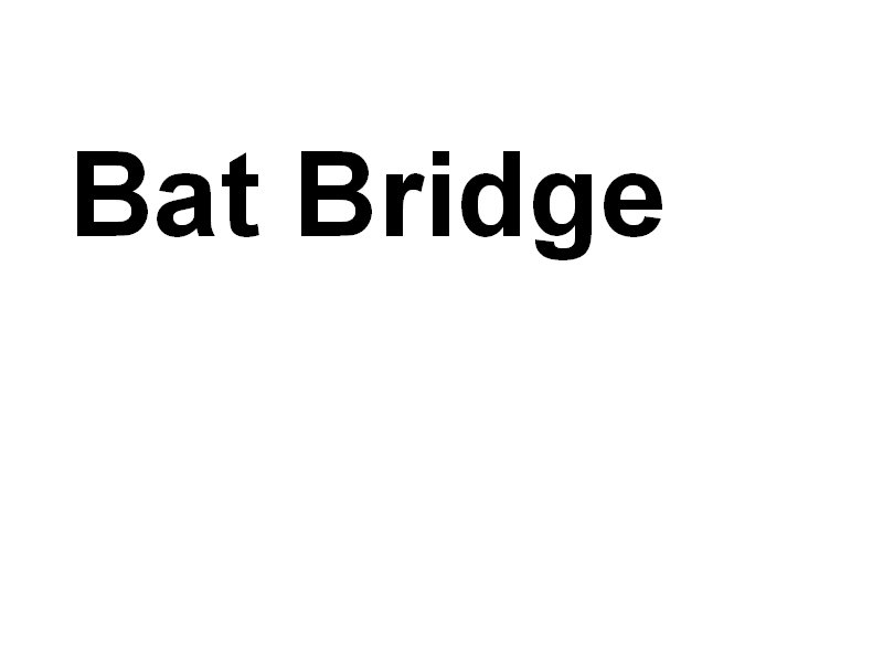 batbridge.jpg