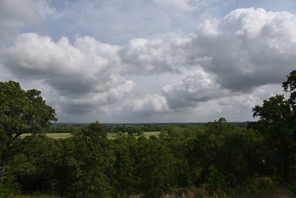 dsc_9131_fs.jpg
