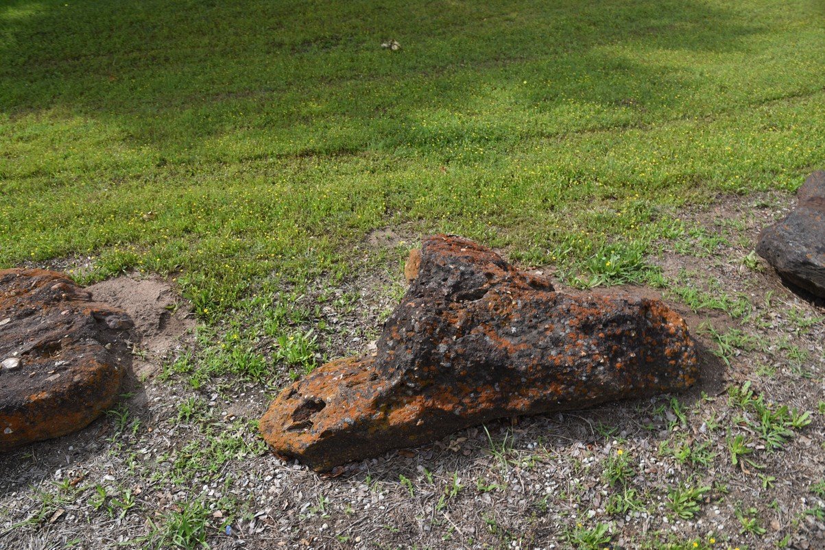 dsc_9132_fs.jpg