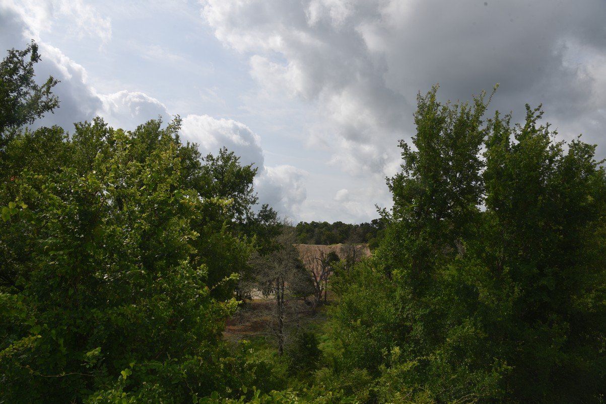dsc_9141_fs.jpg