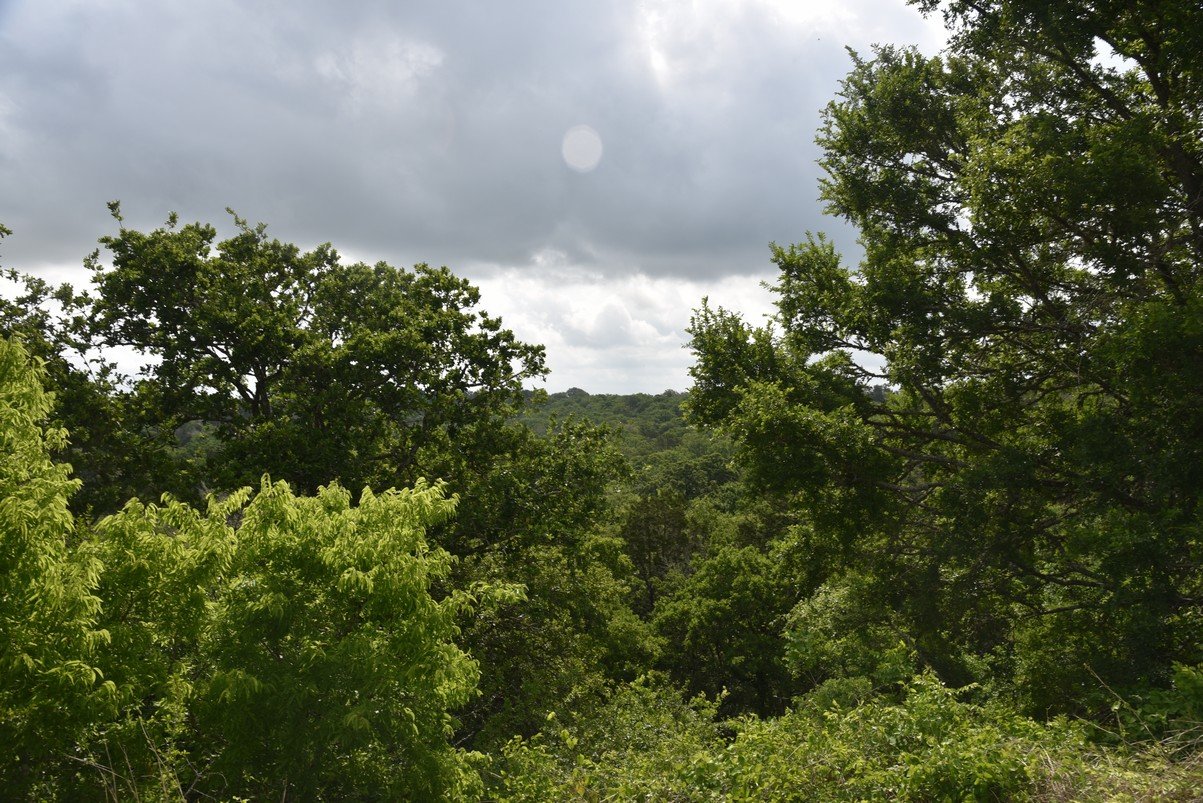 dsc_9143_fs.jpg