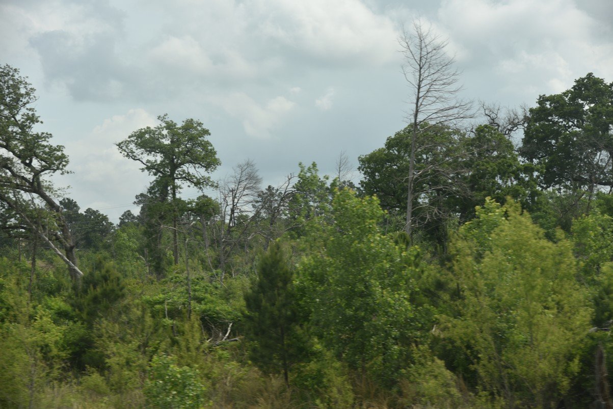 dsc_9156_fs.jpg