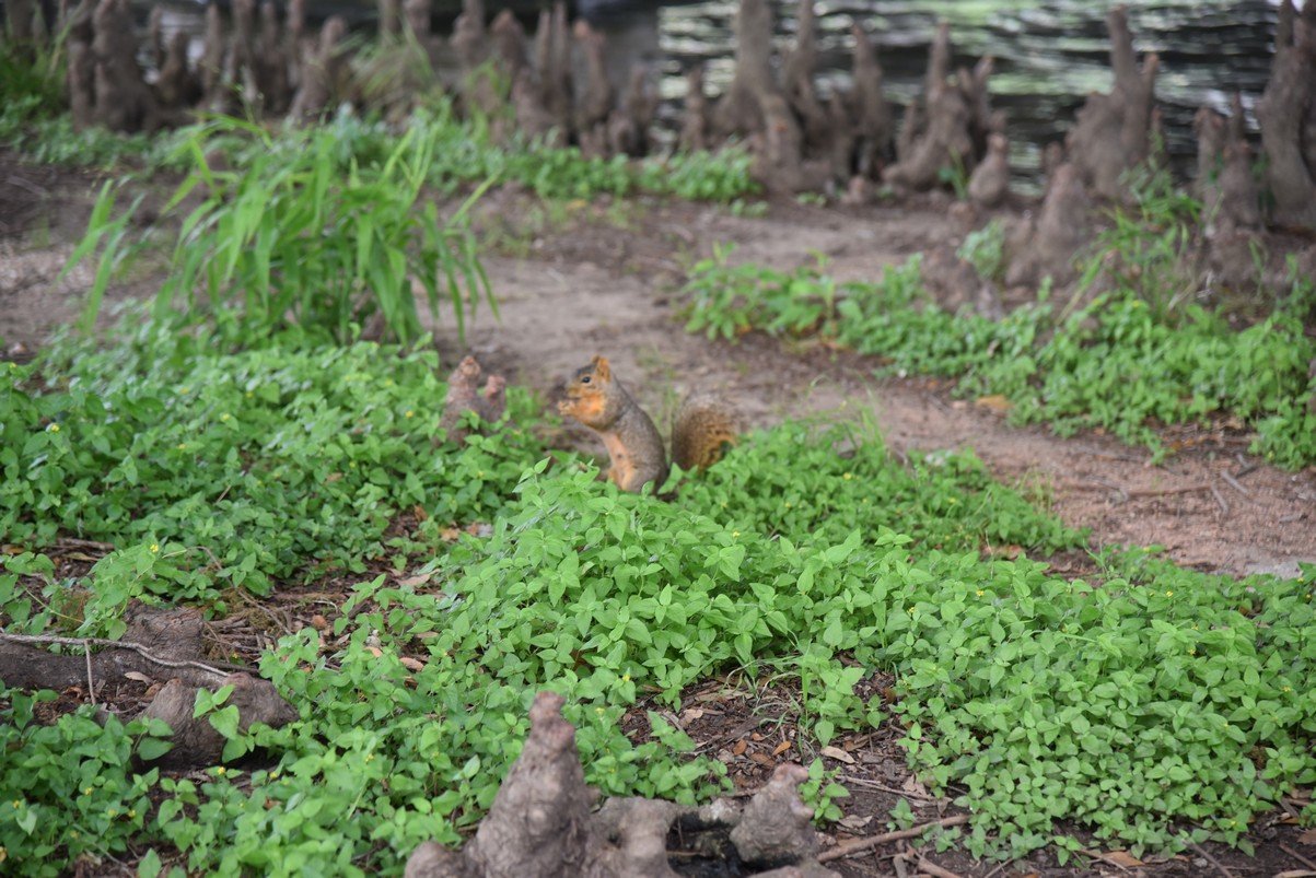dsc_9274_fs.jpg