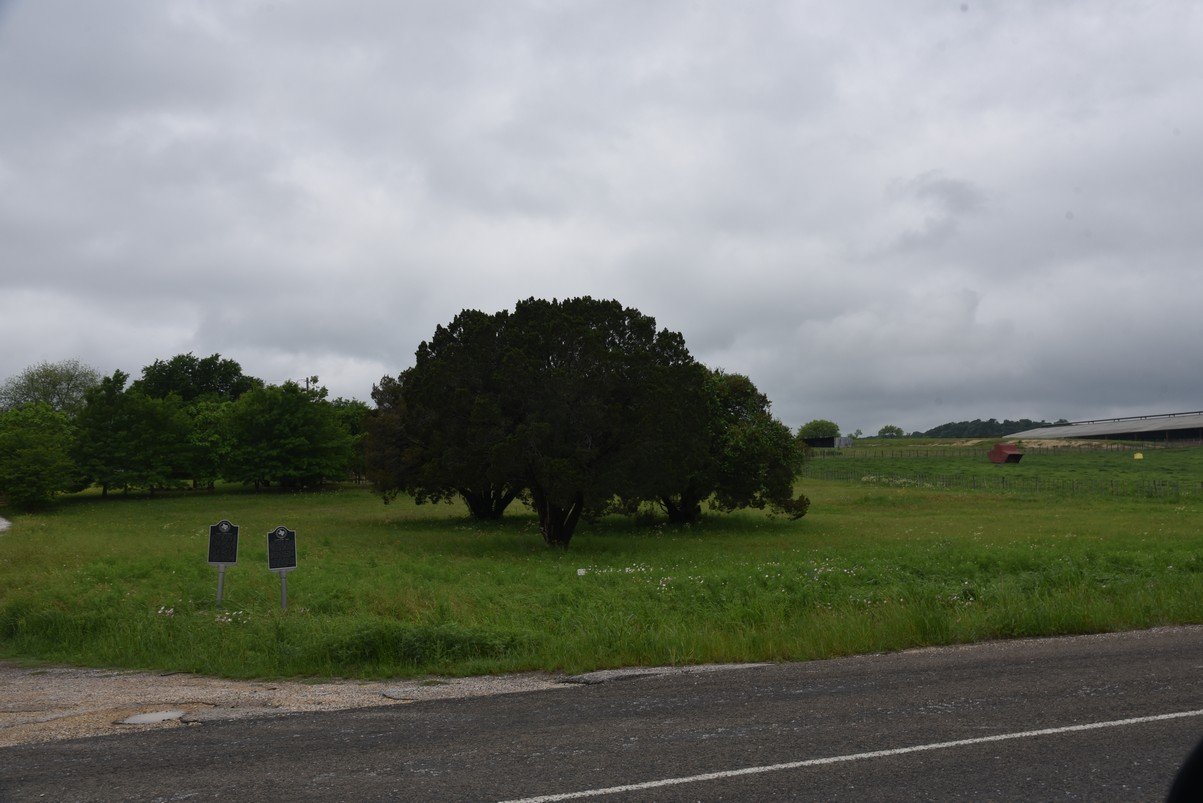 dsc_9620_fs.jpg