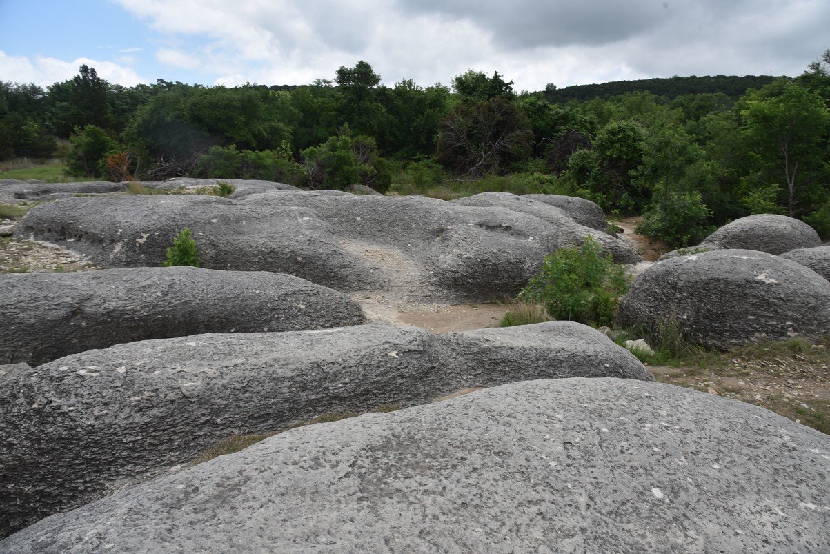 dsc_9720_fs.jpg