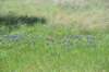 dsc_9735_fs_small.jpg
