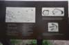 dsc_9740_fs_small.jpg