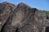 dsc_6325_fs_small.jpg
