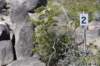 dsc_6370_fs_small.jpg