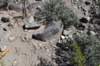 dsc_6410_fs_small.jpg