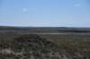 dsc_6594_fs_small.jpg