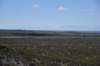 dsc_6595_fs_small.jpg