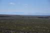 dsc_6596_fs_small.jpg