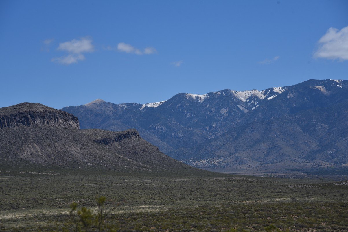 dsc_6599_fs.jpg