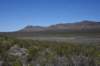 dsc_6606_fs_small.jpg