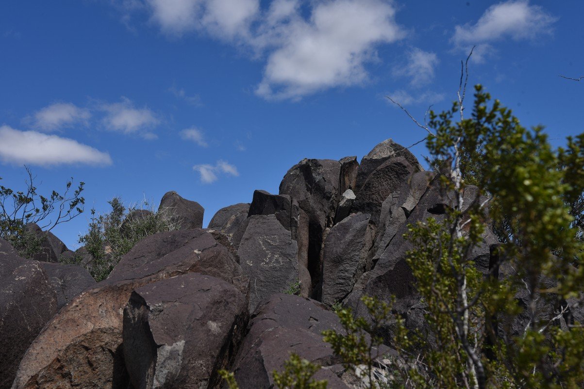 dsc_6628_fs.jpg