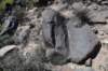 dsc_6643_fs_small.jpg
