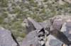 dsc_6676_fs_small.jpg