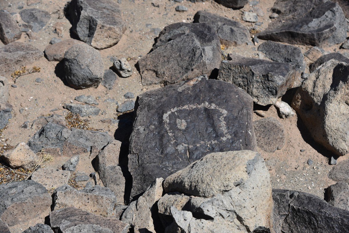 dsc_6762_fs.jpg