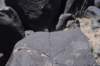 dsc_6764_fs_small.jpg
