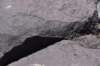 dsc_6766_fs_small.jpg