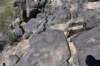 dsc_6773_fs_small.jpg