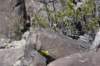 dsc_6776_fs_small.jpg