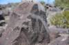dsc_6777_fs_small.jpg