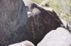 dsc_6779_fs_small.jpg