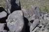 dsc_6780_fs_small.jpg