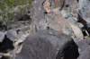 dsc_6785_fs_small.jpg