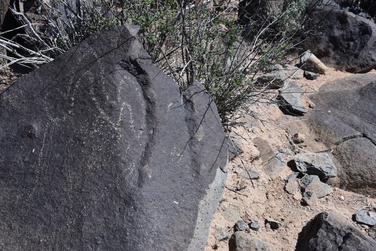 dsc_6799_fs.jpg