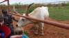 _142721_fs_small.jpg