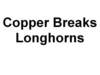 copperbreaksstateparklonghorns_small.jpg
