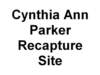 cynthiaannparkerrecapturesite_small.jpg