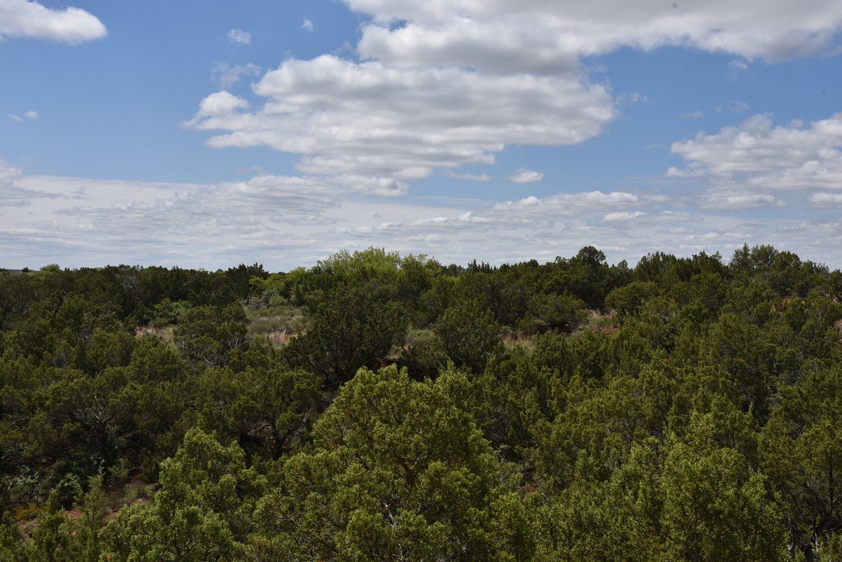 dsc_0007_fs.jpg