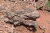 dsc_0008_fs_small.jpg