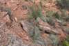 dsc_0009_fs_small.jpg
